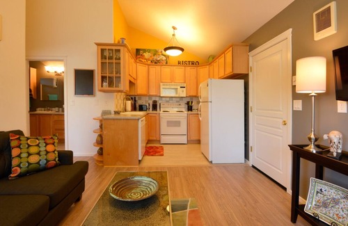 Old Bend Apartment | LOCATION! WALK TO DOWNTOWN AND OLD MILL - ONE BEDROOM ONE BLOCK FROM THE RIVER