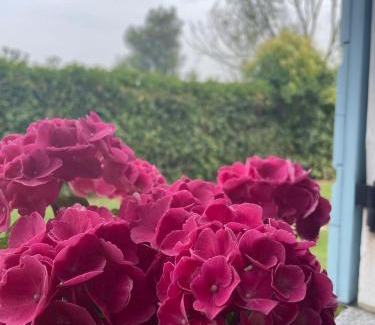 Quinto di Treviso House | Locazione Riv'al Sile