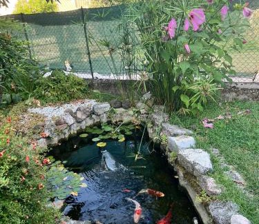 Vigasio Apartment | Locazione Turistica San Vigo