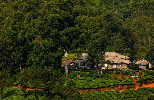 Devikolam Cabin | Lockhart Bungalow Munnar CGH Earth