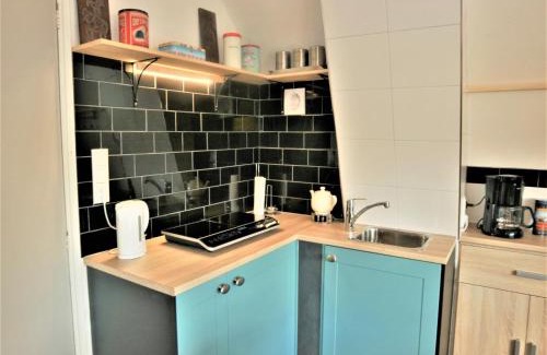 Zuideinde Apartment | Lodge in Giethoorn with breakfast