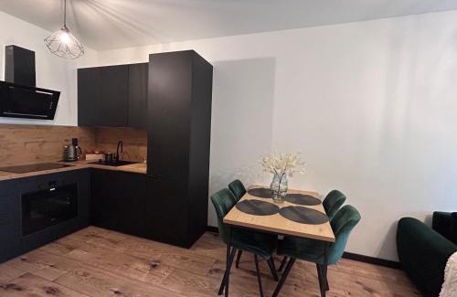 Grudziadz Apartment | Loft Apartament Grudziądz
