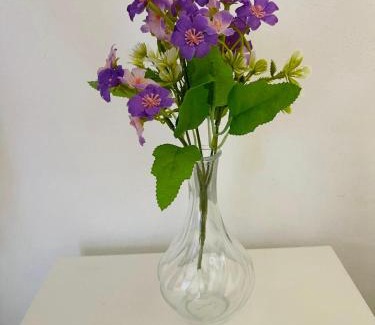 Celio Apartment | Loft Flower Colosseum