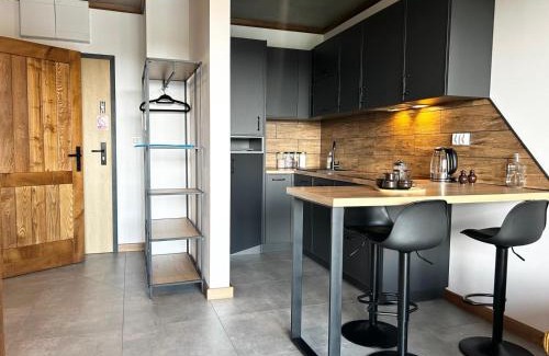 Nysa Apartment | Loft House klimatyzowany Apartament - Jezioro Nyskie, Nysa