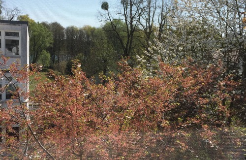 Gross Glienicke Apartment | Loft-like duplex, 2 terraces, Berlin-Potsdam-Glienicker See-Sacrower See