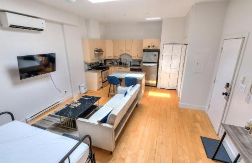 Plateau Mont Royal Apartment | Loft The White Pearl Plateau-Mont-Royal 3 Beds
