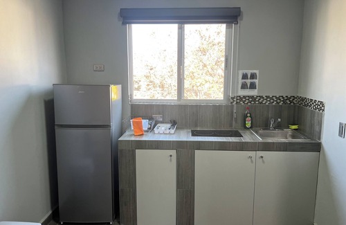 Monterrey Municipality Apartment | Loft Zona Tec de Monterrey for brand new construction