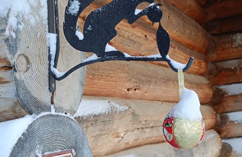 Les Chalesmes Ski Chalet | Log cabin with sheltered terrace, pets welcome