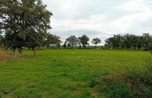 Neris-les-Bains Apartment | Logement dans la campagne nérisienne