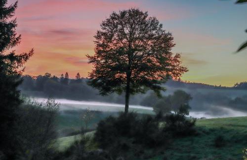 Tarnac Hotel | Logis Hotel Restaurant des Voyageurs
