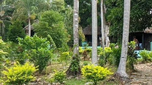 Nosy Be Bed & Breakfast | Lokobe lodge
