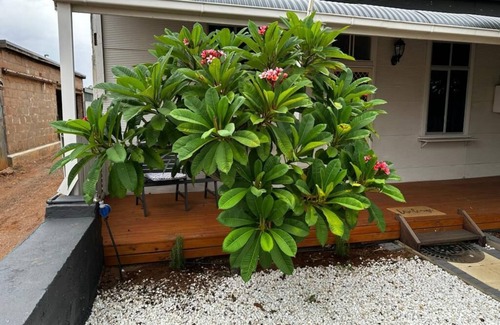 Broken Hill Cottage | Lola’s Cottage is a 2 bedroom cottage close to the shops and main part of town.