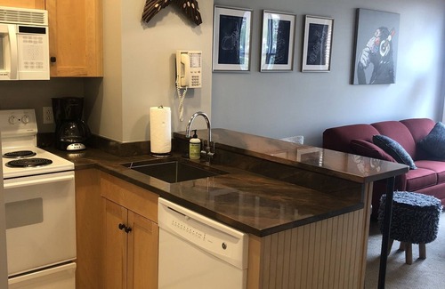 Stratton Mountain Apartment | Long Trail House Studio at Stratton Mountain Resort