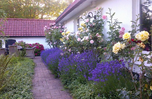 Monchaux Cottage | Longère du Marquenterre 10 minutes from the Baie de Somme and 5 minutes from the beach.