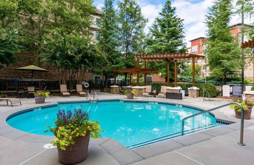 Dunwoody Apartment | Look No More! Contemporary 1BR Suite with Full Kitchen, Pets are Welcome!