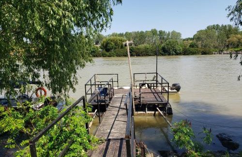 Crisan House | Lotca lu Vasile