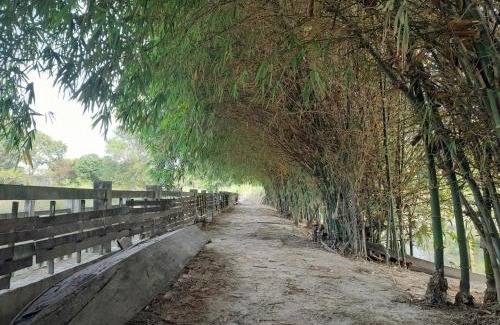 Cu Chi House | Lotus Home