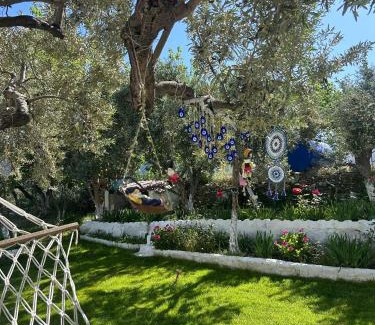 Gullubahce House | LOTUS House