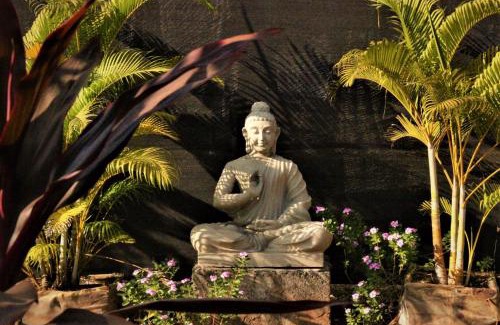 Arambol Resort | Lotus Sutra Beachfront Resort