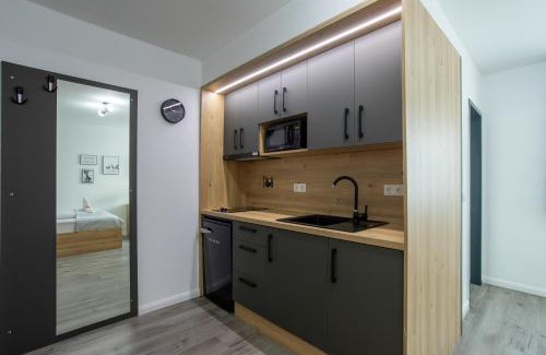 Rosbach vor der Hoehe Apartment | Louis Apartments