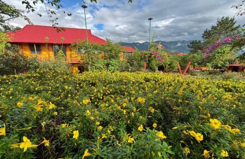 Than Uyen Hotel | Love hill than Uyên