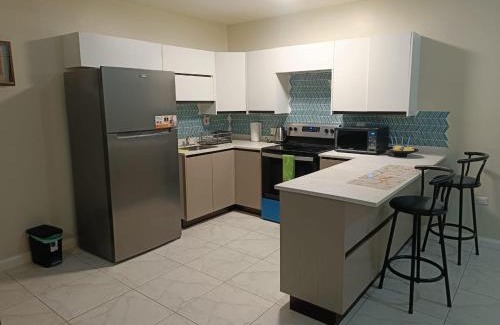 New Kingston Apartment | Lovely 2 BedRoom c̅ Netflix across National Stadium Kingston