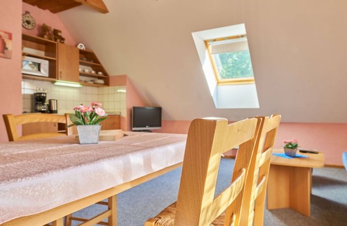 Starkov Villa | Lovely apartment in villa for 4 people with WIFI, pool, TV, patio, pets allowed and parking