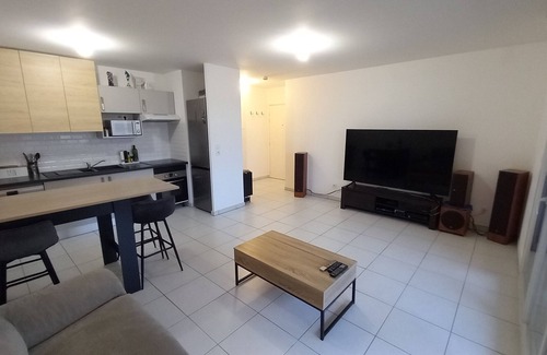 Pierre-Benite Apartment | Lovely and confortable apartment, 2 bedrooms and 3 beds, near the center of Lyon