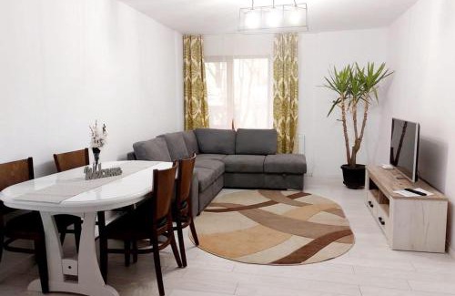 Petrosani Apartment | Lovely and extra spacious 1 bedroom, 1 bath.