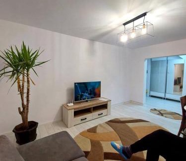 Petrosani Apartment | Lovely and extra spacious 1 bedroom, 1 bath.