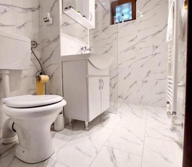 Petrosani Apartment | Lovely and extra spacious 1 bedroom, 1 bath.