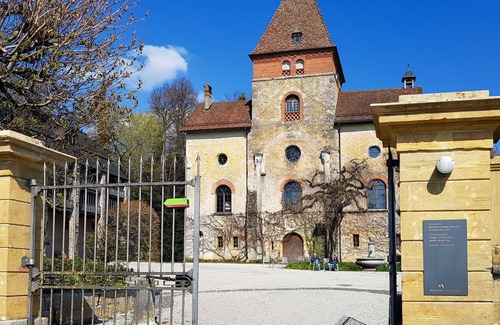Muenchenwiler Apartment | Lovely apartment for 5 guests with WIFI, TV, patio, pets allowed, panoramic view and parking