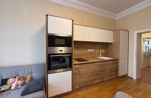 Marianske Lazne Apartment | Lovely Apartment in The Center of Mariánské Lázně