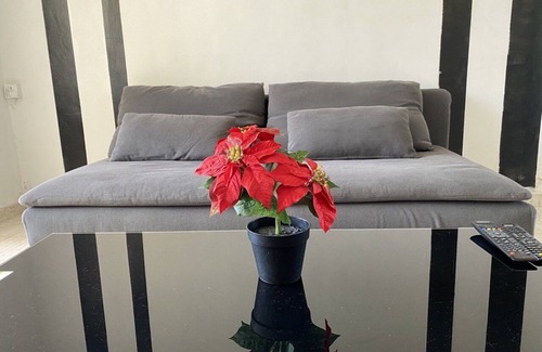 Haifa Apartment | Lovely apartment on the coast of the mediterranean sea