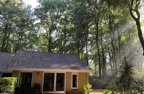Garderen House | Lovely Bungalow (C13) on a small wooded park