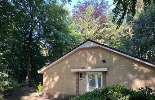 Garderen House | Lovely Bungalow (C13) on a small wooded park