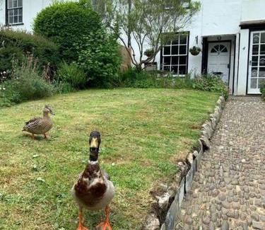 Bude House | Lovely Cottage beside Surf Beaches & Bude Canal