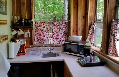 Saugerties Cabin | Lovely cottage located on Plattekill Stream
