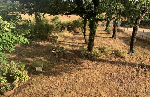 Saint-Quentin-la-Poterie Villa | Lovely villa 5 minutes from Uzes