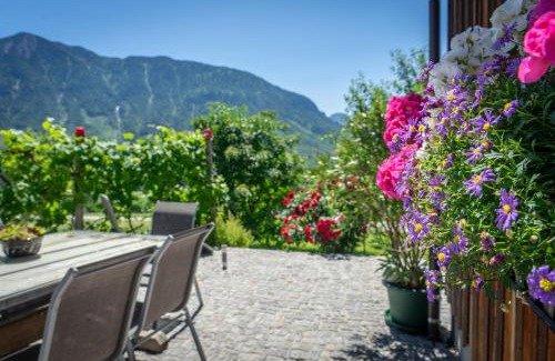Bad Aussee House | Lovely house with mountain view & big garden in Bad Aussee