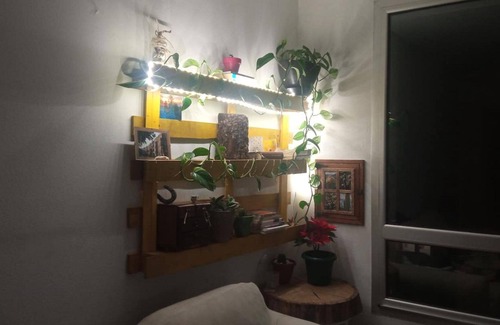La Corredoria y Ventanielles Condo | Lovely Place