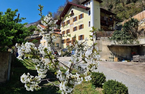 Silandro Apartment | Lovely vacation apartment for active people and those seeking peace and quiet in Silandro/Schlanders.