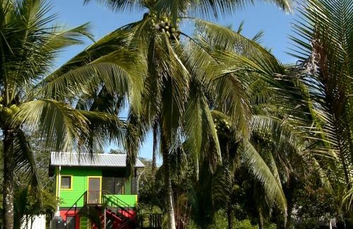 Unitedville Cabin | Lower Dover Jungle Lodge & Maya Ruins