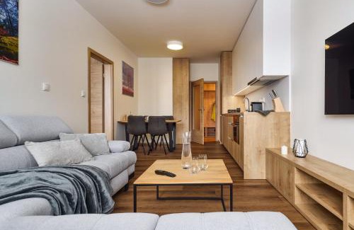 Cerny Dul Apartment | Luční apartmán Jurajda