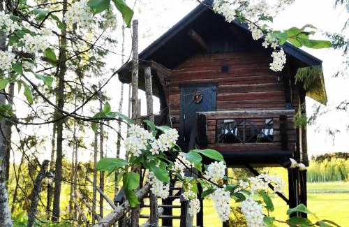 Ikaalinen House | Luomajärven Hevoskievari
