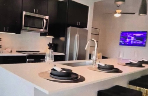 Texas Medical Center Apartment | Luv Lee Lux- @ NRG