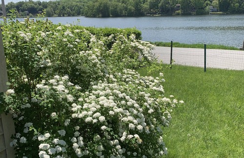 Lake Carmel House | Lux Bungalow on Gorgeous Lake. Relax. Explore nearby towns. Ski. Kayak. Hike.