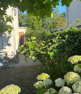 Elsrijk Bed & Breakfast | Luxe B&B "In de Schulp", ontspan en geniet van comfort en stijl