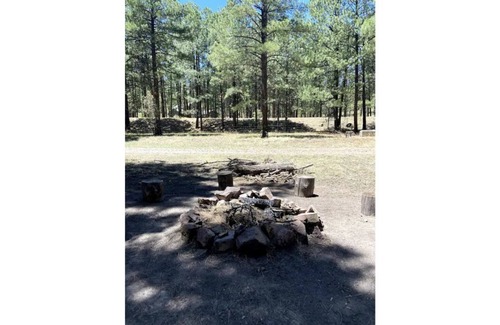 Alpine Apartment | Luxe cabin getaway in the tall pines of Alpine AZ