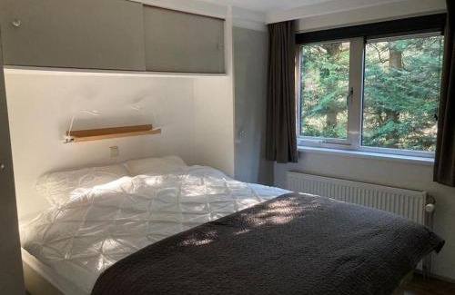 Hoevelaken Ski Chalet | Luxe chalet met airco bij bos en zwemwater